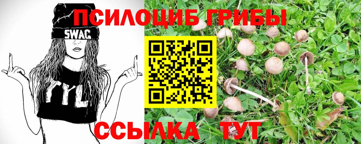 Джанкой  Галлюциногенные грибы Psilocybe  Вход с VPN  Галлюциногенные грибы GOLDEN TEACHER 